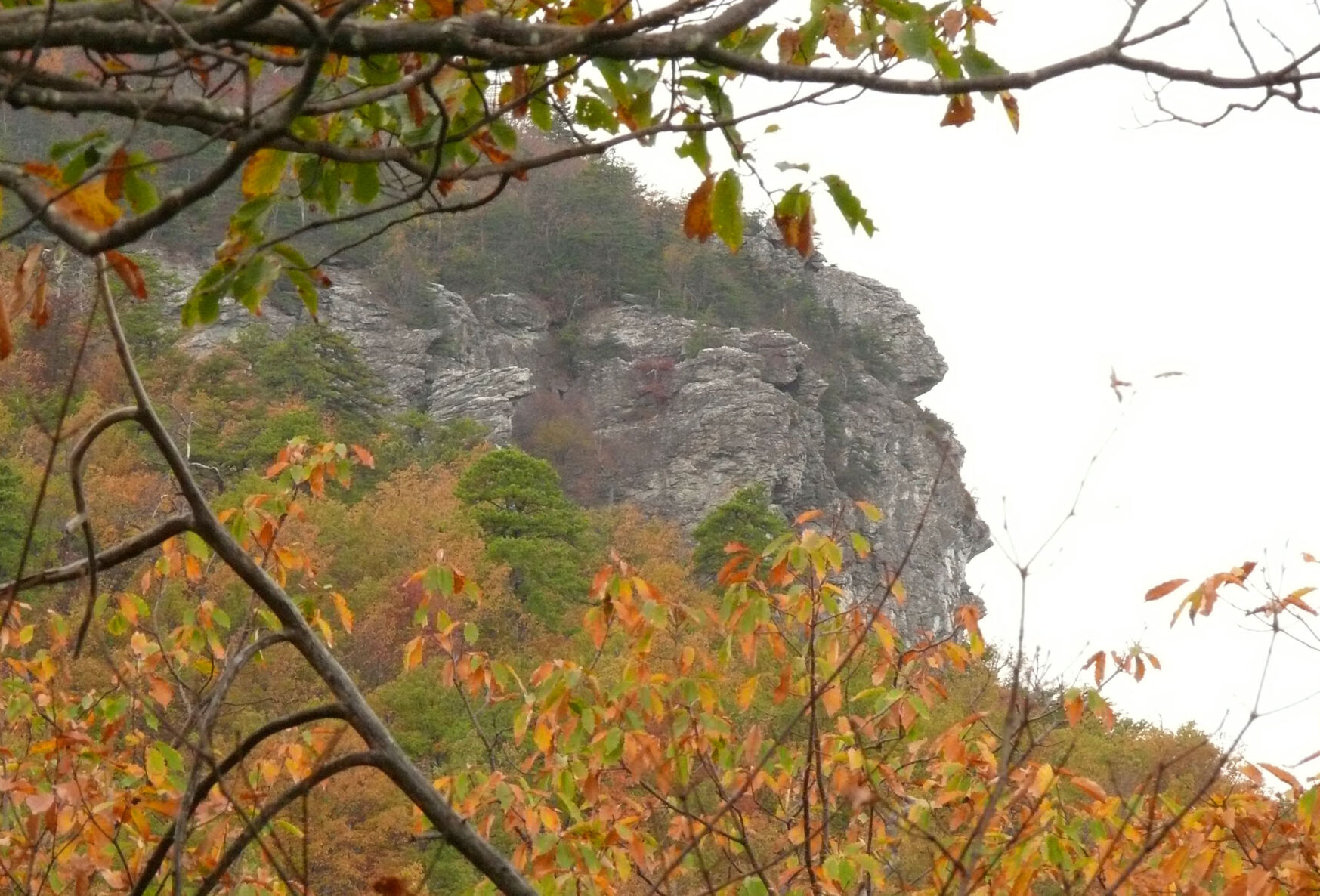 STATE PARKS